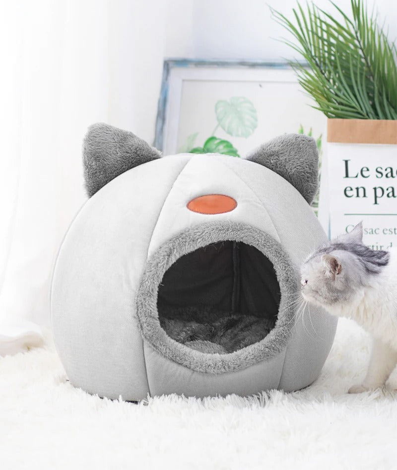 Cosy Cave