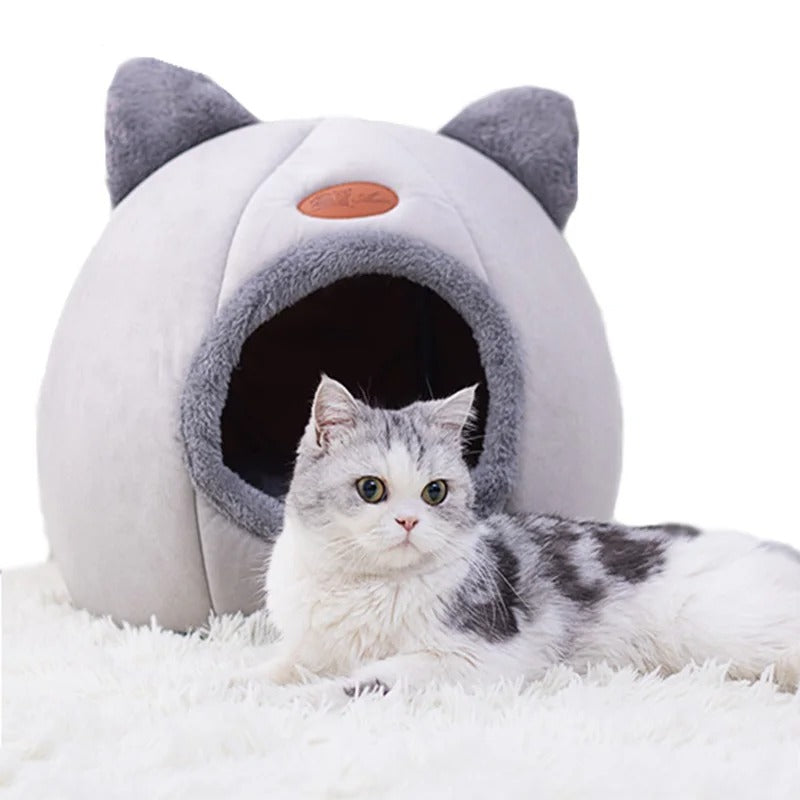 Cosy Cave