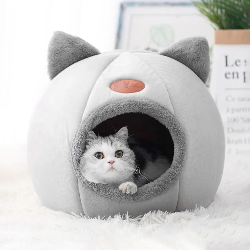 Cosy Cave