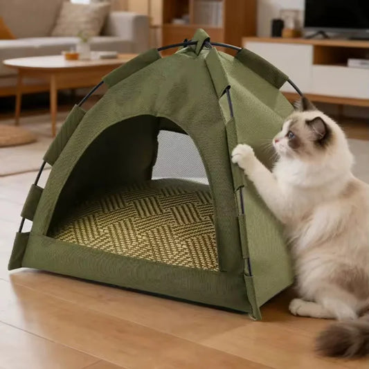 Purrfect Pitch