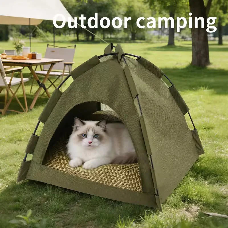 Purrfect Pitch