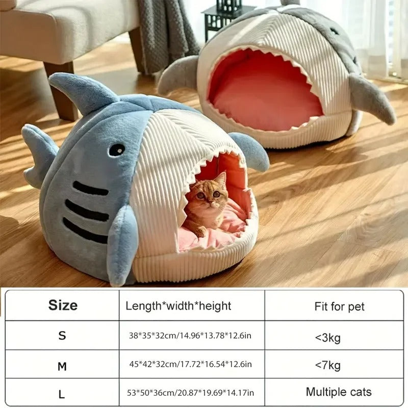 Sweet Tooth Shark