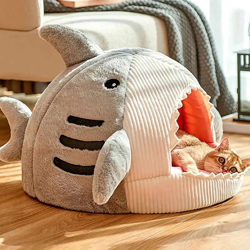 Sweet Tooth Shark